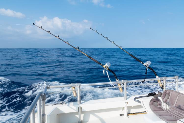 Alabama Deep Sea Fishing Rodeo Dauphin Island Real Estate